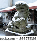 Snow-covered guardian dog The snow scene of the snow shrine that falls on the guardian dog 86675586