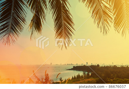 Summer tropical background 86676037