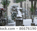 Snow-covered guardian dog The snow scene of the snow shrine that falls on the back of the guardian dog 86676190