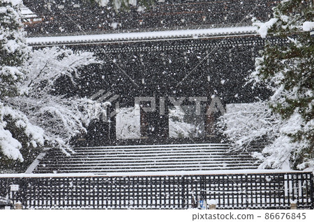The winter scenery of Kyoto, where the large mountain gate and the surrounding forest of large trees are covered with snow while it continues to snow The winter scenery of Kyoto, where the large mountain gate and the surrounding forest of large trees are covered with snow while it continues to snow 86676845