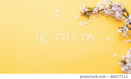 April floral nature. Spring blossom and may flowers on pink. For banner, branches of blossoming cherry against background. Dreamy romantic image, landscape panorama, copy space. 86677212