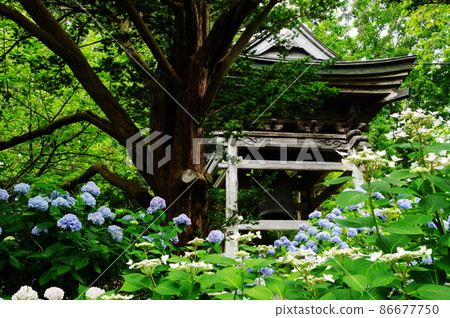 鐘寺 86677750