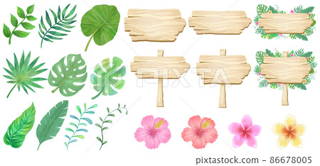 Wooden sign board and tropical plant illustration set Character frame 86678005