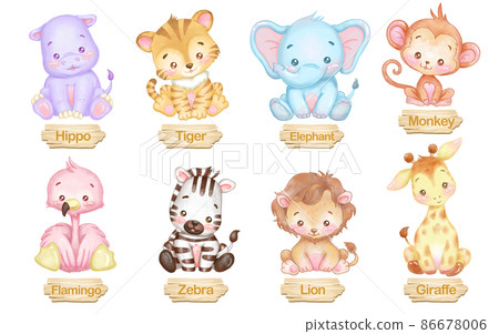 Illustration set of cute animal baby and English name written on the plate Watercolor painting Illustration set of cute animal baby and English name written on the plate Watercolor painting 86678006