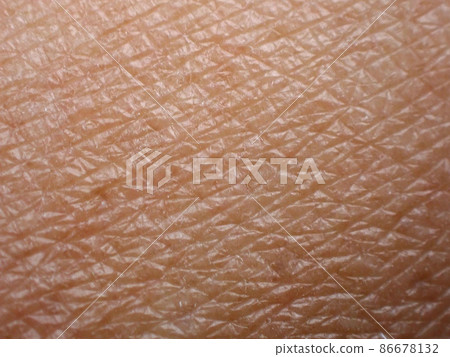 skin texture epidermis macro closeup 86678132