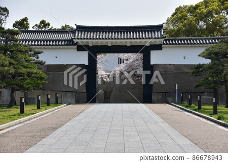 Osaka Prefecture, Japan Spring Osaka Castle Park Cherry blossoms in full bloom and traditional entrance gate Osaka Prefecture, Japan Spring Osaka Castle Park Cherry blossoms in full bloom and traditional entrance gate 86678943
