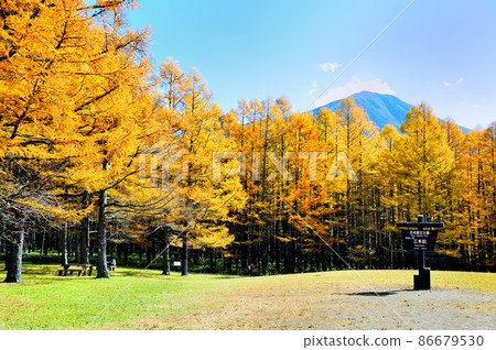 Nikko Sanbonmatsuenchi 86679530