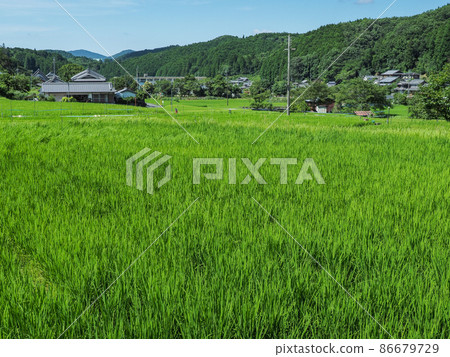 奈良縣奈良市田園風光 奈良縣奈良市田園風光 86679729