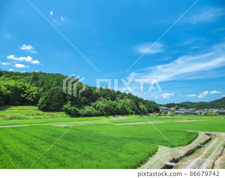 Nara City, Nara Prefecture Rural scenery 86679742