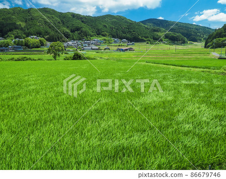 Nara City, Nara Prefecture Rural scenery 86679746
