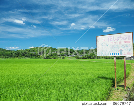 Nara City, Nara Prefecture Rural scenery 86679747