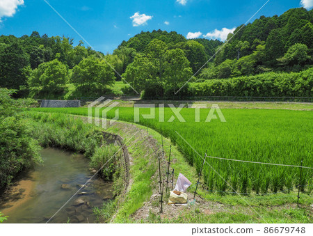 奈良縣奈良市田園風光 86679748
