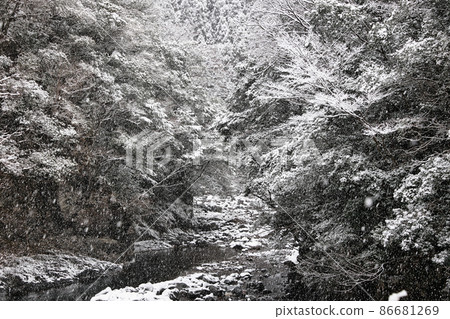 Beppu Gorge in winter Beppu Valley 86681269