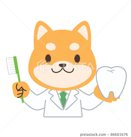 Dog dentist 86681676