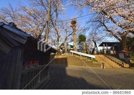 Ishitokaba Zakura, Tokoji Temple, Sakura in the precincts, Jizo hut 86681960