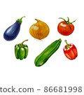 Illustration vegetable set Illustration vegetable set 86681998