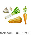 Illustration vegetable set-leeks, carrots, garlic, pumpkin 86681999