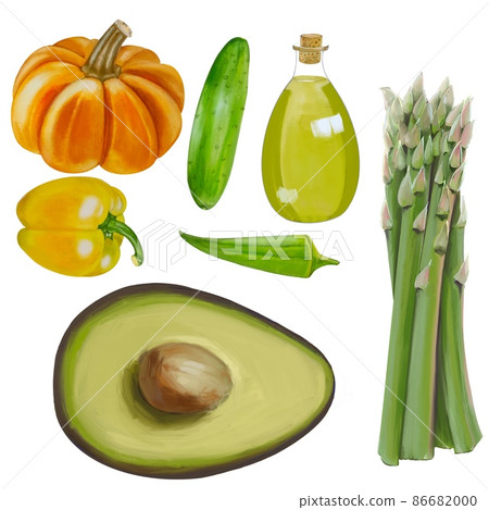 Illustrated vegetable set-asparagus, pumpkin, cucumber, avocado, olive oil, okra, paprika Illustrated vegetable set-asparagus, pumpkin, cucumber, avocado, olive oil, okra, paprika 86682000