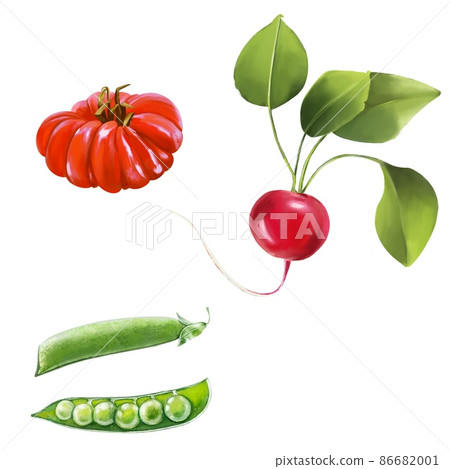 插圖蔬菜套餐-西紅柿、蘿蔔、青豆 插圖蔬菜套餐-西紅柿、蘿蔔、青豆 86682001