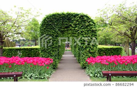 The vast flower garden of Keukenhof Park The vast flower garden of Keukenhof Park 86682294