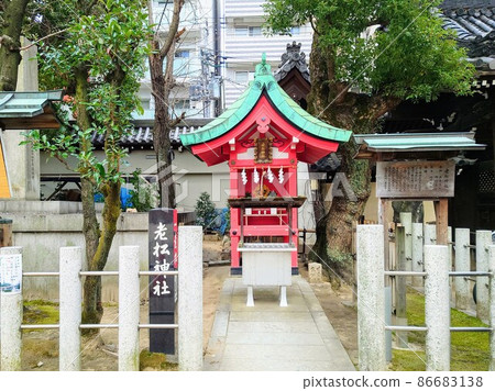 Old Matsu Shrine in the precincts of Osaka Tenmangu Shrine Old Matsu Shrine in the precincts of Osaka Tenmangu Shrine 86683138