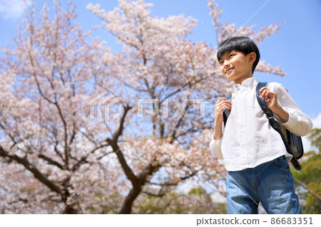 A smiling elementary school boy standing in front of a cherry tree under the blue sky 86683351