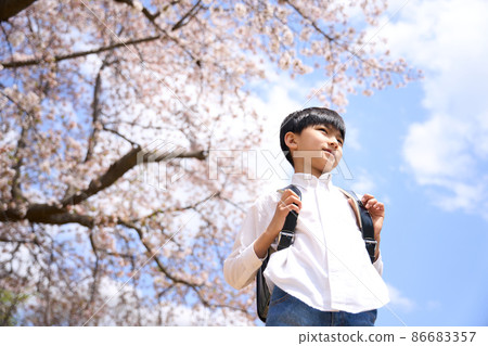 一個小學生站在藍天下的櫻桃樹前 86683357