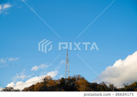 Flock of birds and electric wires 86684175