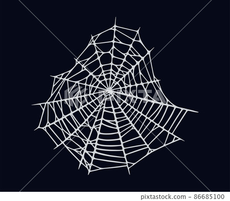Spider web isolated on black background. Spooky Halloween cobweb. Vector illustration Spider web isolated on black background. Spooky Halloween cobweb. Vector illustration 86685100