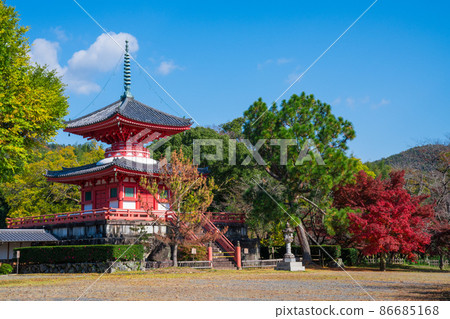 京都大覺寺聖行法典和紅葉 京都大覺寺聖行法典和紅葉 86685168