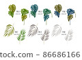 熱帶葉框架集 86686166