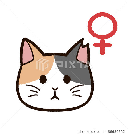Sakura cat female calico cat Sakura cat female calico cat 86686232
