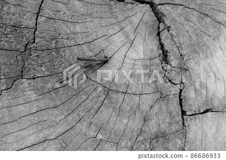 Old wood texture, vintage natural Old wood texture, vintage natural 86686933