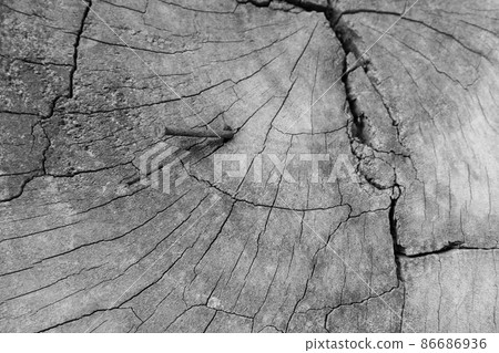Old wood texture, vintage natural Old wood texture, vintage natural 86686936