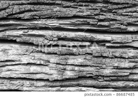 old, grunge wood panels used as background old, grunge wood panels used as background 86687485