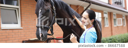 Female veterinarian conducts physical examination of black horse Female veterinarian conducts physical examination of black horse 86687588
