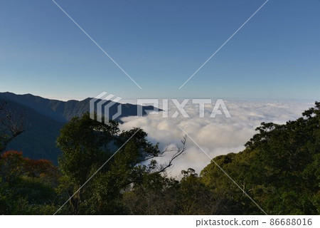 山上風景-觀霧雪霸國家公園,台灣 山上風景-觀霧雪霸國家公園,台灣 86688016