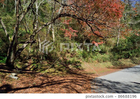 Otoha Kure Red & Indigo Hyokko Autumnal Background 86688196