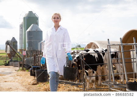 Female veterinarian with buckets on dairy farm 86688582