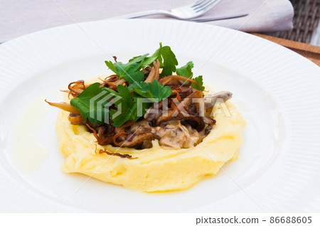 Stroganoff with mushrooms and mashed potatoes on a white plate in a restaurant Stroganoff with mushrooms and mashed potatoes on a white plate in a restaurant 86688605