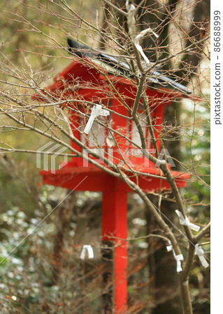 Omikuji and lantern Omikuji and lantern 86688999