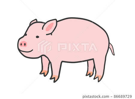 Pig Pig 86689729