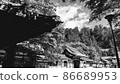 Temple precincts, forest and blue sky (monochrome) 86689953