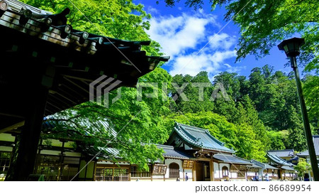 Temple precincts, forest and blue sky (color) Temple precincts, forest and blue sky (color) 86689954