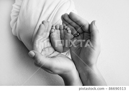 The palms of the father, the mother are holding the foot of the newborn baby. Feet of the newborn on the palms of the parents. Photography of a child's toes, heels and feet. Black and white photo. 86690313