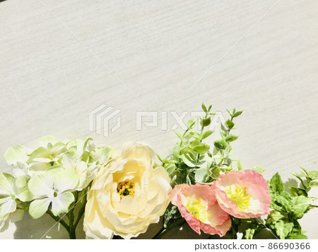 室內花卉背景圖片 2 室內花卉背景圖片 2 86690366