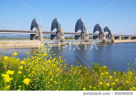Seungchonbo and Yeongsan River Seungchonbo and Yeongsan River 86690608