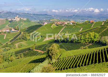 Castle and village Castiglione Falletto, Piemonte, Italy Castle and village Castiglione Falletto, Piemonte, Italy 86692027