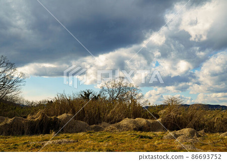 Winter sky Winter sky 86693752