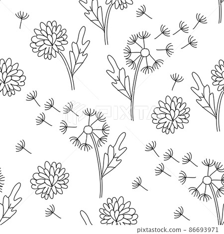 Seamless pattern with dandellions. Botany vector illustration 86693971